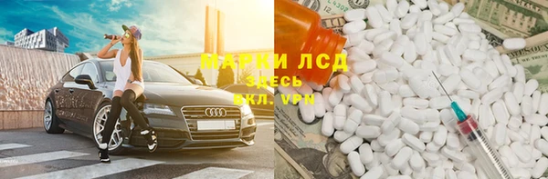 эйфоретик Абинск